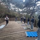 치유의 숲 이미지