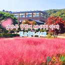 카페새로