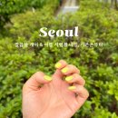 네일시즌(NAIL SEASON)