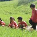 큰별자리어린이집 이미지