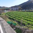 내서읍358 이미지