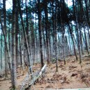 청산-비상5호 이미지