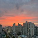 더월드짐 이미지