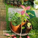 동화조경농원 이미지