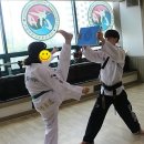 파란태권도 이미지