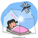 모기아트 이미지