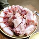 신갈매기 이미지