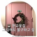 그럼에도불구하고꽃 이미지
