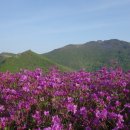 2017년05월07일(일)전남 화순 안양산 철쭉과+ 무등산 주상전리 연계산행 이미지