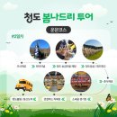 봄나드리투어 이미지