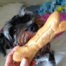 세븐네이쳐 이미지