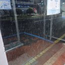 이화모텔 | 250910 한라산 종주(성판악~백록담~관음사) 후기