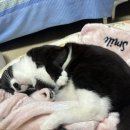 (주)풍건 네이버블로그