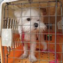 완월동225 이미지