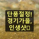운악산 관광안내소 | 경기도 가을여행 가을 분위기 만끽