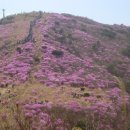 제 48차 무학산 종주 산행안내 이미지