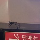 고래노래연습장 이미지
