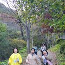 호두나무 펜션 이미지