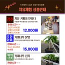 도한정원 시실리 이미지
