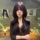 디자인커런트