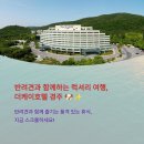 경주 더케이호텔 애견동반 객실 정보 - 반려견과 함께 럭셔리한 힐링 여행! 🐶🏨