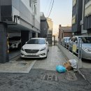 강서구-58 이미지