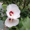 모듬내길 이미지