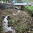 중산초교 | 강원도 정선 민둥산 가을 등산 후기 (민둥산 억새축제, 등산 코스 중산초교, 정선 가볼 만한 곳)