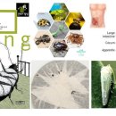 서구-02-115 이미지