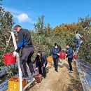 영덕읍사무소 이미지