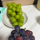 향기농장 이미지