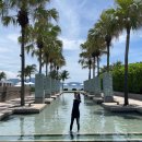 394-1-000055 | 🇻🇳힘겨웠던 6월 베트남 여행 (다낭-> 호이안) 한시장,반미,다낭 하얏트,랍스타,호이안 바구니배,소원배