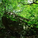 구곡민박 이미지