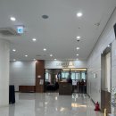 수정-61 | 💍 EP.61 | 💒 밀리토피아 카멜리아홀 계약 후기 (26년 견적공유 &amp; 군인 할인 안내)