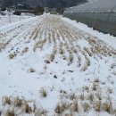 도척농업협동조합 이미지