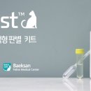 백산개발 이미지