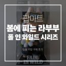 [팝마트 키링] 봄에 피는 라부부 / 폴 인 와일드 시리즈 인형 키링 구매 후기 / 팝마트 안녕