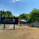 마추피추애견블랙 | 평창 가볼만한곳 마추픽추 카페 알파카 체험~♥