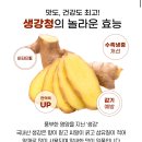 수제 생강청 1L 40% 세일 13940원 (무배) 이미지