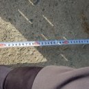 석계초등학교 정문 이미지