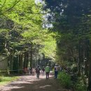 숲 걷기 명상 이미지