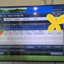 에코스크린골프 | 25년 3월 시티원 야외스크린골프 후기 에코랜드CC