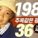 1983년에 방영되었던 주옥같은 TV광고 36선 이미지