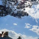 저녘노을 이미지