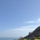 남서대로 | 남해 다랭이마을 벚꽃 실시간 개화상태 경남 벚꽃명소 방문 후기