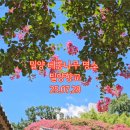 향교주유소 네이버블로그