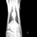 조영메디칼 이미지