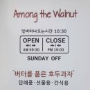 어몽더월넛 이미지