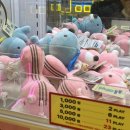 아놔뽑기방 이미지