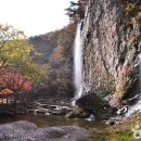 수림꽃농원 | [전라북도 순창군] 강천사(순창)